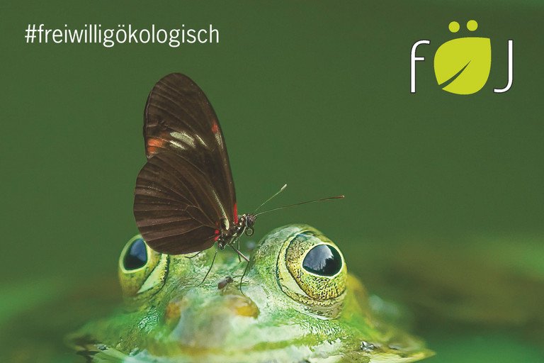 Dekoratives Bild der Kachel 'FJ'
