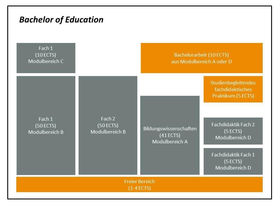 Schaubild zum Bachelor of Education