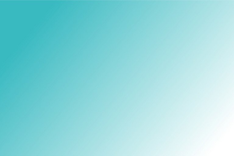 Dekoratives Bild der Kachel 'Transferforum'