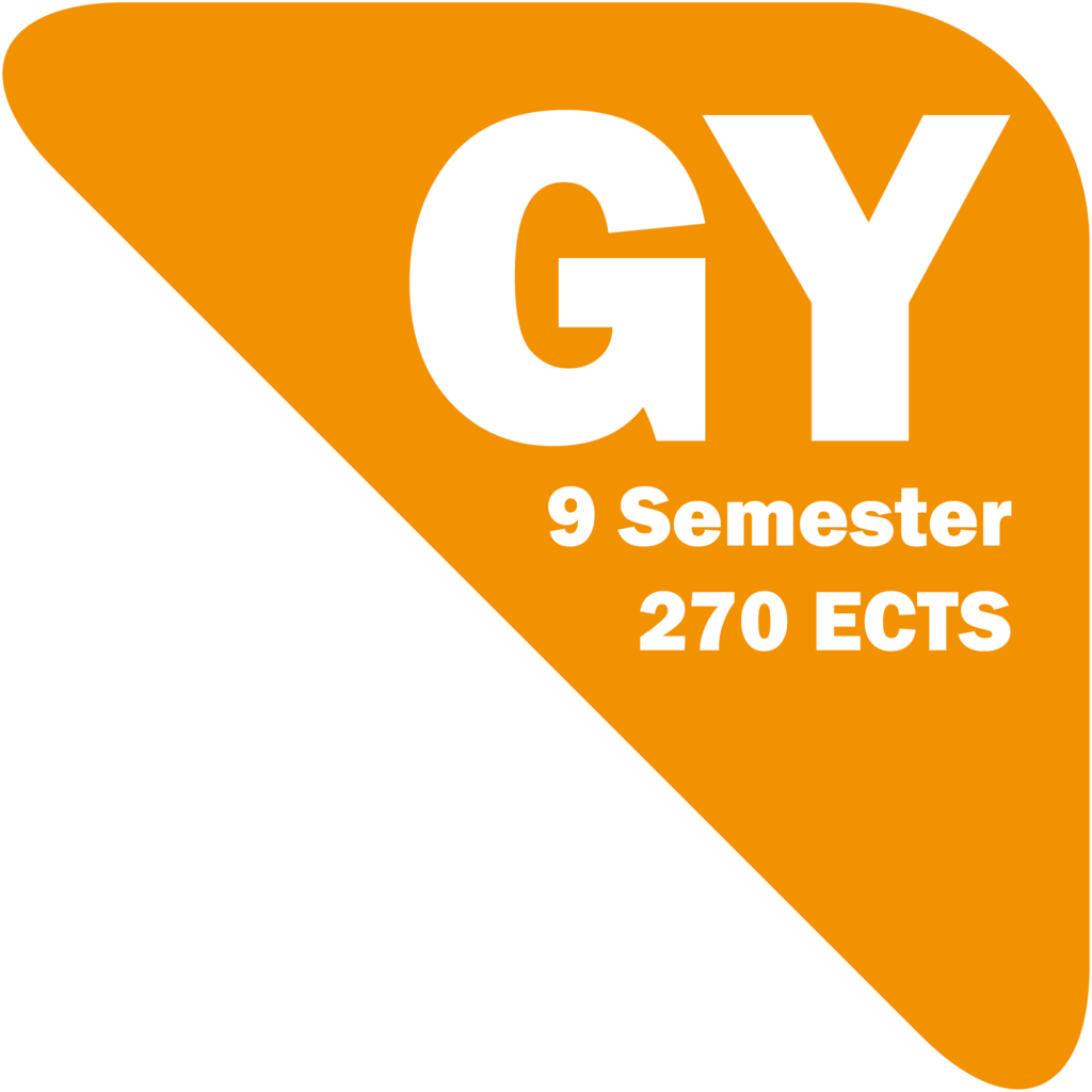 Logo Studium Gymnasium