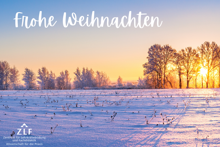 Die ZLF-Weihnachtskarte 2025