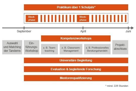 Grafik zum Ablauf des Lehr:werkstatt-Jahres