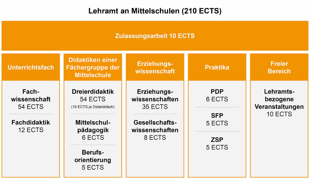 Aufbau des Studiums als Bild