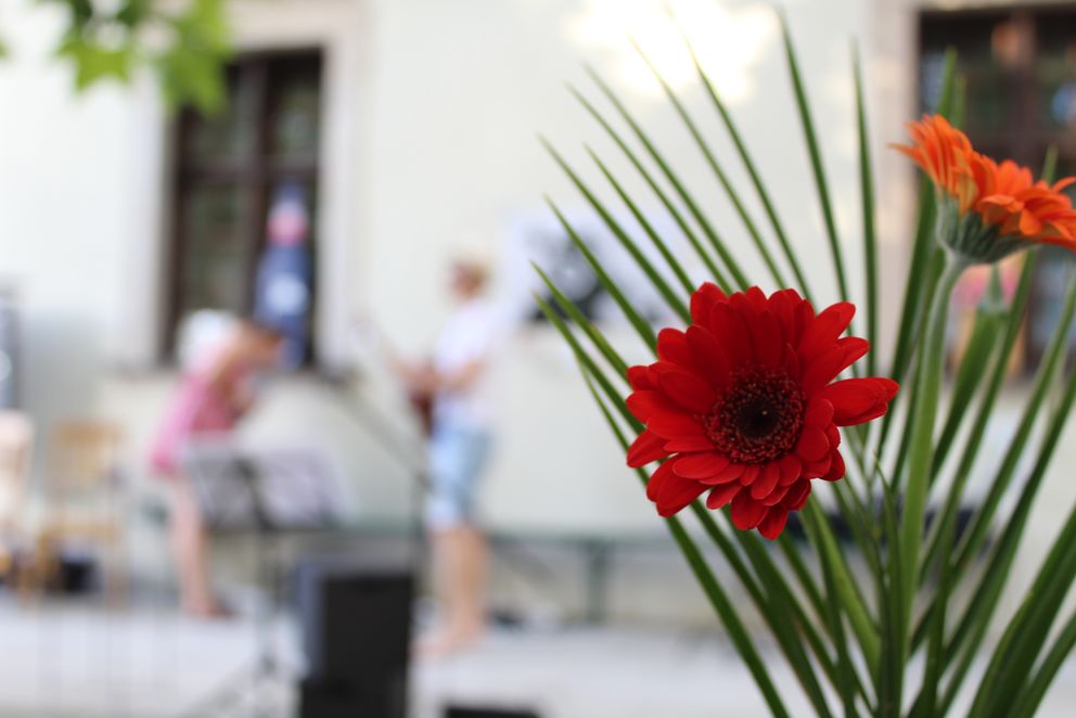 Grillfest im Innenhof vom Nikolakloster (Blume als Symbolbild)