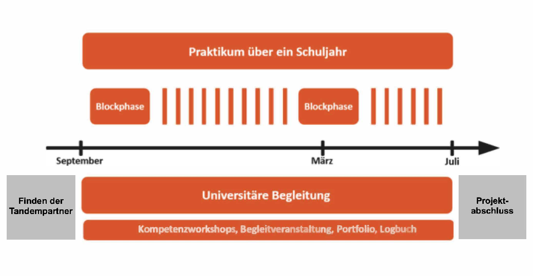 Grafik Praktikum &uuml;ber ein Schuljahr 