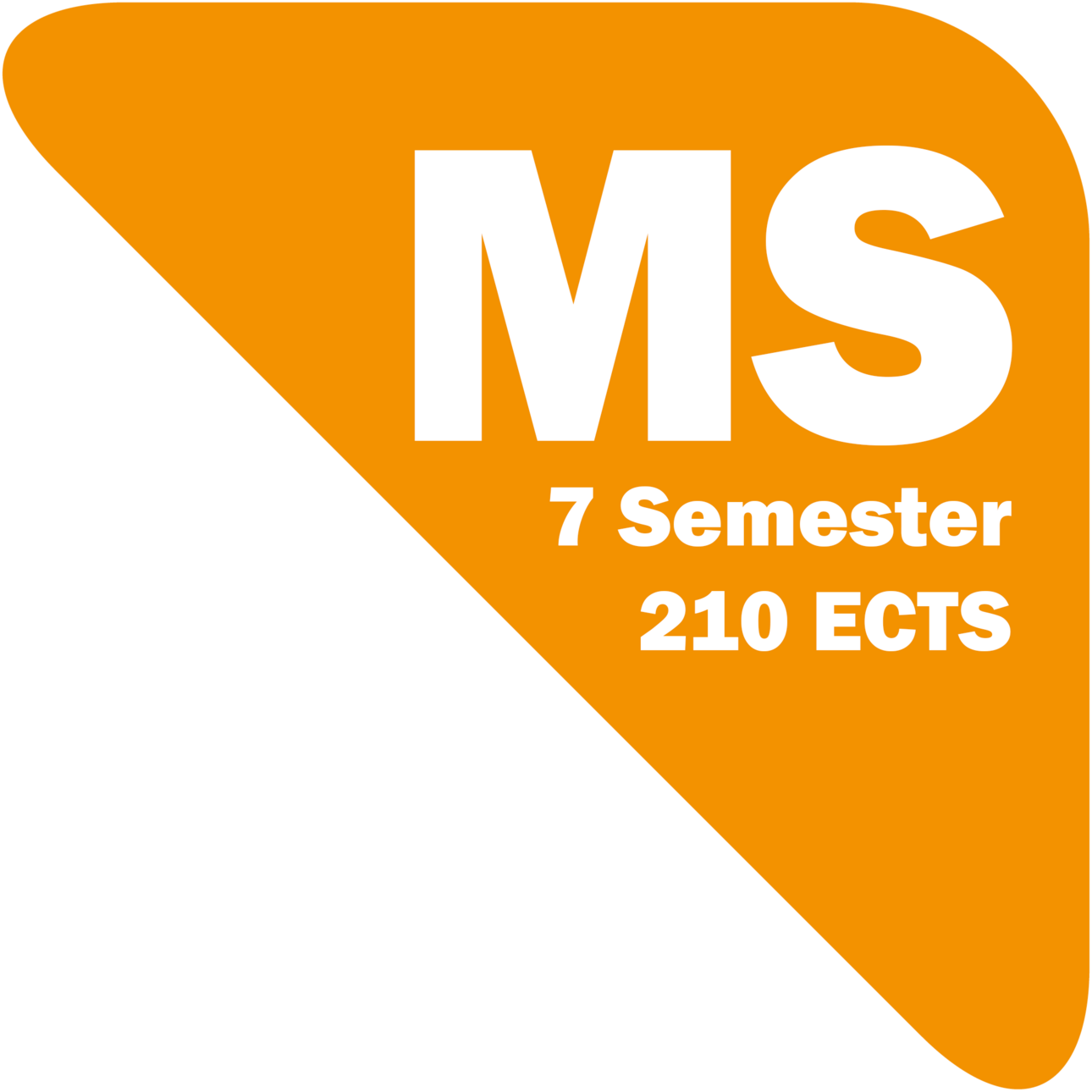 Logo Studium Mittelschule