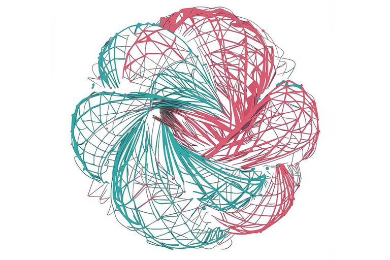 Das Logo des Passauer Transfernetzwerks