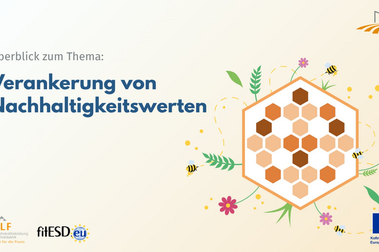 Modul 3: Verankerung von Nachhaltigkeitswerten